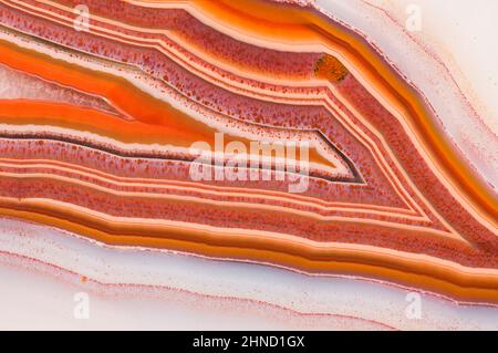 Motifs de bandes et détails structurels dans un Laguna agate tranché et poli du Mexique. Banque D'Images
