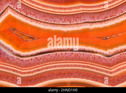 Motifs et structure de bandes dans une Laguna agate trancée et polie du Mexique. Banque D'Images