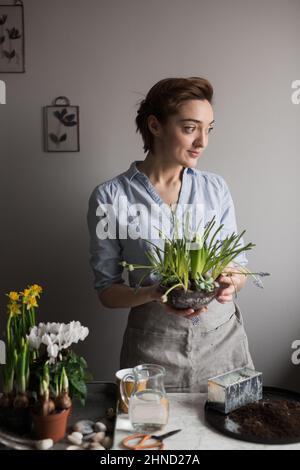 Contenu jardinier femelle en tablier avec des fleurs et des plantes fraîches en pot assorties à la table à la maison et en regardant loin Banque D'Images