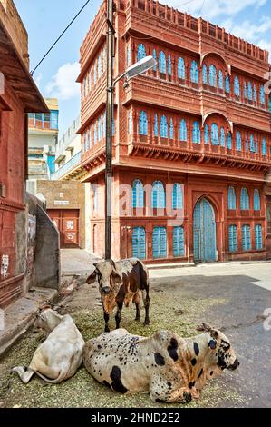 Inde Rajasthan. Les rues de Bikaner Banque D'Images