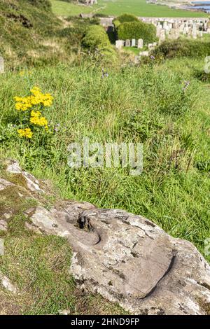 Les empreintes de Saint Columba sur Keil point au-dessus de sa chapelle en ruines, Dunaverty Bay, près de Southend sur la péninsule de Kintyre, Argyll & Bute, Écosse Banque D'Images