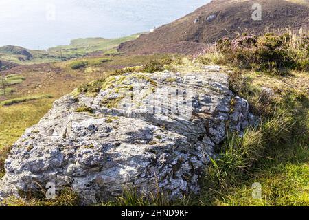 Affleurements rocheux sur les landes recouvertes de bruyère sur le Mull de Kintyre, à l'extrémité sud de la péninsule de Kintyre, Argyll & Bute, Écosse, Royaume-Uni Banque D'Images