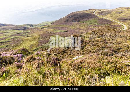 Affleurements rocheux sur les landes recouvertes de bruyère sur le Mull de Kintyre, à l'extrémité sud de la péninsule de Kintyre, Argyll & Bute, Écosse, Royaume-Uni Banque D'Images