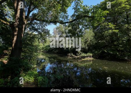 Witten, Rhénanie-du-Nord-Westphalie, Allemagne - Muehlengraben à Witten. Banque D'Images