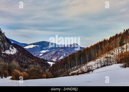 Vue sur une vallée de montagne avec un rocher. Panorama d'hiver, paysage avec forêt et collines. Fond naturel, papier peint. Protégé aCrsatec, Slovaquie. Banque D'Images