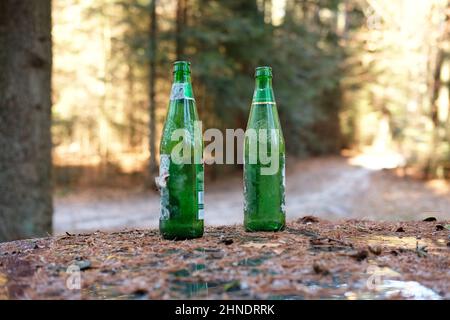 Zwierzyniec, Pologne. 02/13/2022. Bouteilles de bière vides 'Lomza' (ne traduit pas en anglais) laissées dans le parc national de Roztocze, Pologne Banque D'Images