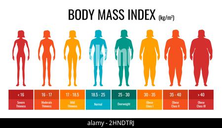 Tableau de classification de l'IMC femmes ensemble. Infographie sur l'indice de masse corporelle chez les femmes avec un état de poids allant de l'insuffisance pondérale à l'obésité sévère. Graphique de contrôle de masse corporelle médicale. Illustration du vecteur eps Illustration de Vecteur
