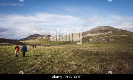 Marche dans les Dales près de Pot cicatrice et Smaarsett cicatrice Banque D'Images