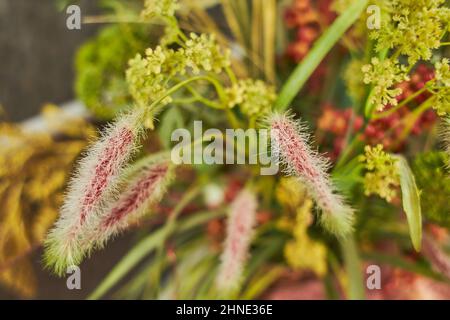 Gros plan - détails bouquet de fleurs sauvages artificielles pour la décoration intérieure. Banque D'Images