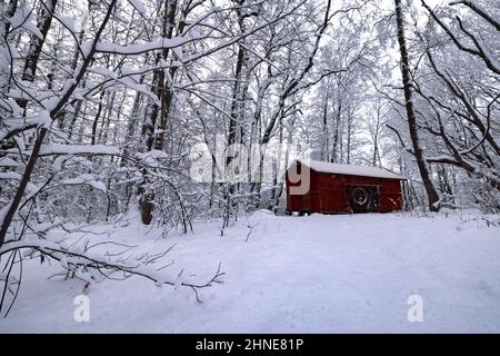 Un petit cottage en bois rouge isolé dans une forêt enneigée du nord en hiver. Photo de haute qualité Banque D'Images