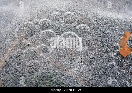 Dessins naturels dans la glace créés par des milliers de petites bulles d'air en gros plan Banque D'Images