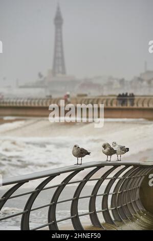 Storm Dudley, l'une des deux tempêtes qui frappent le Royaume-Uni arrive à Blackpool sur la côte nord-ouest de l'Angleterre, suivie de près par la tempête Eunice 24 heures plus tard, les deux amenant de fortes pluies et des vents très forts Banque D'Images