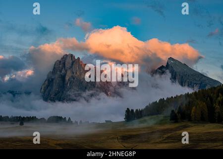Campagne agricole vallonnée avec des arbres colorés à Seiser Alm, les montagnes Langkofel (à gauche) et Plattkofel (à droite) au coucher du soleil. Banque D'Images