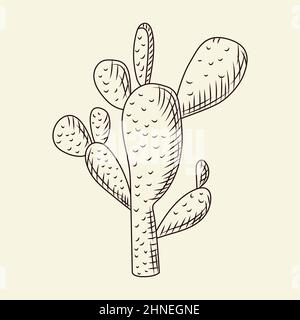 Cactus poire pickly isolé sur fond clair de style dessiné à la main. Esquisse de cactus sauvages. Gravure vintage. Illustration vectorielle. Illustration de Vecteur