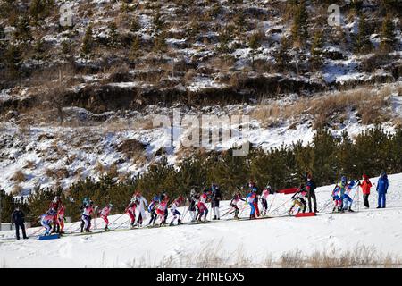 Zhangjiakou, province chinoise du Hebei. 16th févr. 2022. Les athlètes se disputent le relais de 4 x 6 km des femmes de biathlon au Centre national de biathlon de Zhangjiakou, dans la province de Hebei, dans le nord de la Chine, le 16 février 2022. Credit: Zhan Yan/Xinhua/Alay Live News Banque D'Images