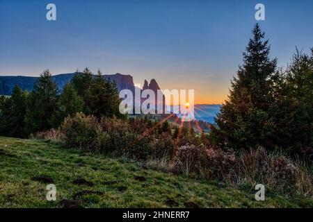 Campagne agricole vallonnée avec pâturages et arbres à Seiser Alm, le groupe Schlern avec Monte Petz (à gauche) et Santnerspitze (à droite), au coucher du soleil. Banque D'Images