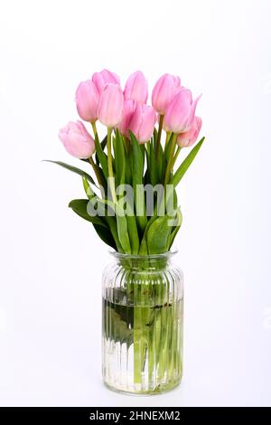 Bouquet de tulipes roses tulipa dans un vase à fleurs isolé sur fond blanc Banque D'Images