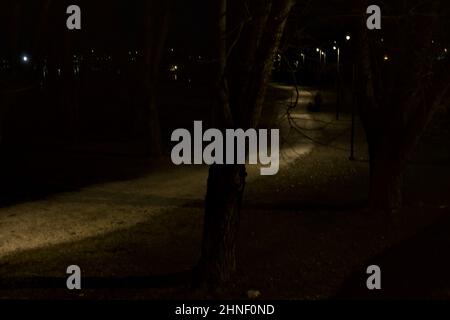 Chemin de gravier éclairé par des feux de rue dans un parc la nuit vue d'en haut Banque D'Images