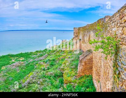 L'estuaire de la rivière Dniester et les ruines du mur extérieur de la forteresse d'Akkerman sur la rive, Bilhorod-Dnistrovskyi, Ukraine Banque D'Images