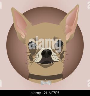 Illustration vectorielle modifiable du chien chihuahua en EPS10. Illustration de Vecteur