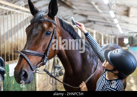 Jeune fille peignant et nettoyant son cheval à l'écurie Banque D'Images