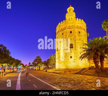 Les palmiers verts pittoresques, qui poussent dans la rue Cristobal Colon, entourent la tour médiévale Torre del Oro, à Séville, en Espagne Banque D'Images