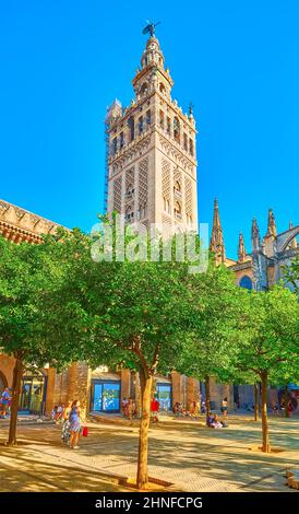 SÉVILLE, ESPAGNE - 29 SEPTEMBRE 2019 : la pittoresque Tour Giralda derrière la Cour des orangers de la cathédrale de Séville, le sept à Séville Banque D'Images
