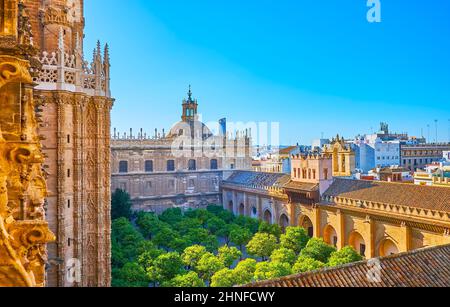 Vue sur le jardin des orangers (patio de los Naranjos) depuis le balcon de la Tour Giralda de la Cathédrale de Séville, Espagne Banque D'Images