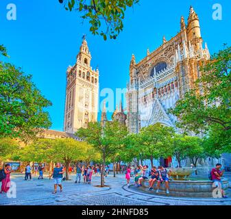 SÉVILLE, ESPAGNE - 2 OCTOBRE 2019 : détendez-vous à l'ombre des arbres dans le jardin des orangers de la cathédrale de Séville avec une vue sur la Tour Giralda et ses ornements Banque D'Images