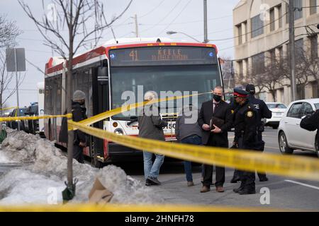 Toronto, Ontario, Canada. 16th févr. 2022. Pour la deuxième fois en 7 jours, un travailleur de la TTC a été grièvement blessé dans une poignarder. Juste après 1pm, un chauffeur de bus TTC sur l'autobus Keele de 41 a été poignardé à la suite d'un conflit avec un groupe de jeunes hommes. L'altercation a continué à l'extérieur du bus où il a été poignardé plusieurs fois. Le chauffeur a été transporté d'urgence à l'hôpital dans un état grave. Aucun suspect n'a été arrêté pour le moment. (Image de crédit : © Arlyn McAdorey/ZUMA Press Wire) Banque D'Images