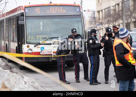 Toronto, Ontario, Canada. 16th févr. 2022. Pour la deuxième fois en 7 jours, un travailleur de la TTC a été grièvement blessé dans une poignarder. Juste après 1pm, un chauffeur de bus TTC sur l'autobus Keele de 41 a été poignardé à la suite d'un conflit avec un groupe de jeunes hommes. L'altercation a continué à l'extérieur du bus où il a été poignardé plusieurs fois. Le chauffeur a été transporté d'urgence à l'hôpital dans un état grave. Aucun suspect n'a été arrêté pour le moment. (Image de crédit : © Arlyn McAdorey/ZUMA Press Wire) Banque D'Images