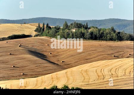 Balles de paille, champs de blé récoltés, paysage devant Radicofani et Monte Amiata, province de Sienne et Grosseto, Toscane, Italie Banque D'Images