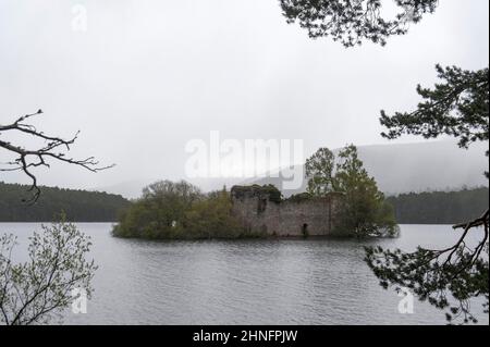 Ruine sur l'île, château du Loch an Eilean, lac an Eilein loch, Speytal, Aviemore, Highland, Écosse, Grande-Bretagne, Royaume-Uni Banque D'Images