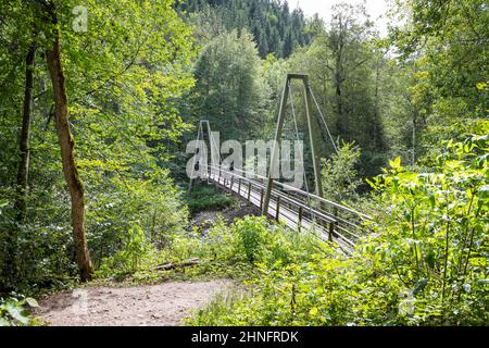 Pont suspendu au-dessus de la Wutach, gorge de Wutach, Forêt Noire du Sud, Bade-Wurtemberg, Allemagne Banque D'Images