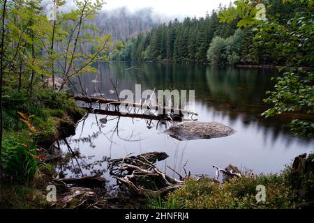 Cerne jezero, Lac Noir, Forêt de Bohême, Plzensky kraj, République Tchèque Banque D'Images