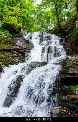 Vue majestueuse de la cascade avec l'eau qui coule à travers des pierres dans la forêt verte Banque D'Images