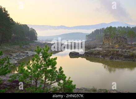 Les rapides de Manzherok dans les montagnes de l'Altaï. Dawn au-dessus de la rive rocheuse de la rivière Katun, pins sur les rochers, le village de Manzherok et les montagnes Banque D'Images