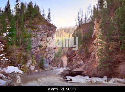 Gorge de Red Gate dans les montagnes de l'Altaï. La route entre les hautes rochers le long de la rivière de montagne Chibitka au printemps. Nature de la Sibérie, Russie Banque D'Images