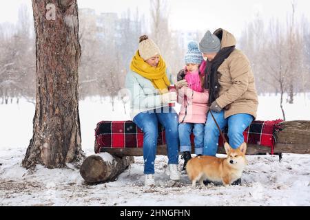 Petite fille, ses grands-parents avec thermos et chien Corgi dans le parc le jour d'hiver enneigé Banque D'Images