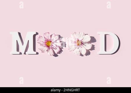 Humeur. Citation motivationnelle de lettres blanches et beauté de fleurs naturelles sur fond rose. Concept créatif citation inspirante de la journée. Banque D'Images
