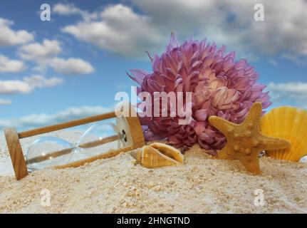 Sablier brisé avec coquillages et fleur sur la plage avec ciel bleu Banque D'Images