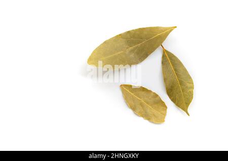 Vue de dessus des feuilles de la baie biologique sur fond blanc, motif de pose plate avec espace vide pour le texte. Gros plan des feuilles de la baie séchées dans la ligne de détails sur ses Banque D'Images