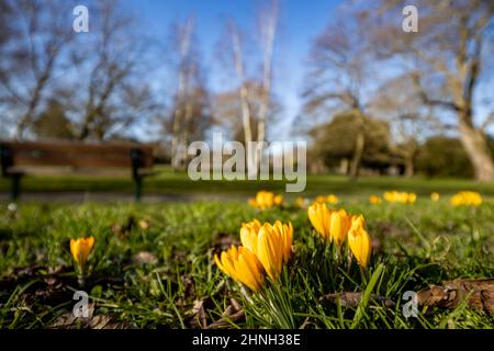 Photographie locale de Hammersmith & Acton Vale Banque D'Images