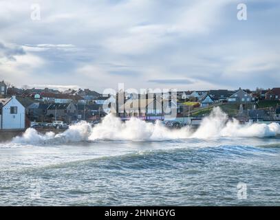 De grandes vagues s'écrasant sur la rive, Eyemouth, Écosse Banque D'Images