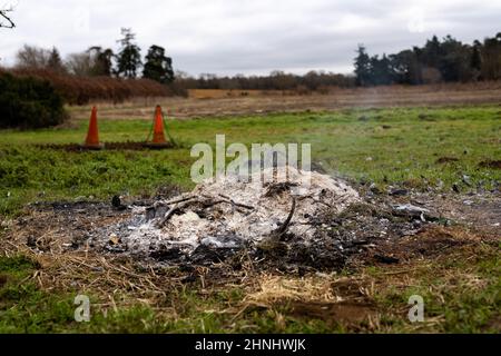 Fumer des restes d'un feu de camp d'élimination des déchets et des matériaux de jardin Banque D'Images