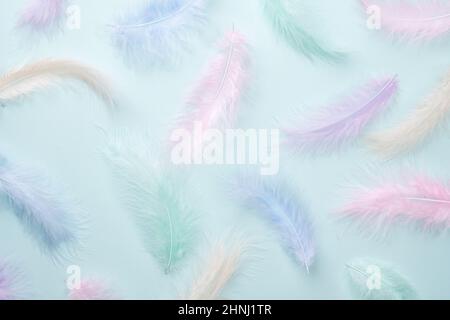 Plumes fond multicolore dans des couleurs pastel. Motif plumes. Plumes pastel naturelles dans des couleurs douces. Belle surface de plumes. Mur en plumes Banque D'Images