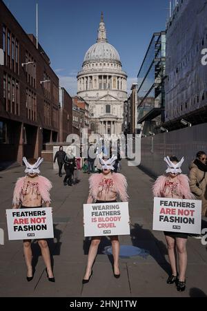 Londres, Royaume-Uni. 17th février 2022. Les militants des droits des animaux du PETA protestent près de St Paul contre l’utilisation des plumes lors de la Fashion week de Londres. Un troupeau de partisans de PETA avec des masques d'oiseaux, des coffres à sang et pluchés exposés, mettent en évidence le sort des oiseaux dont les plumes sont arrachées pour les vêtements de mode et les accessoires. Credit: Guy Corbishley/Alamy Live News Banque D'Images