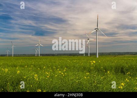 Économie d'énergie. Ressources énergétiques renouvelables. Champ d'éoliennes en Pologne. Parc éolien Łebcz, Pomerania, Pologne Banque D'Images