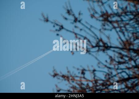 Un avion de passagers vu d'en-dessous tout en volant à travers un beau ciel bleu avec au-dessus des sommets d'arbres. Photo de haute qualité Banque D'Images
