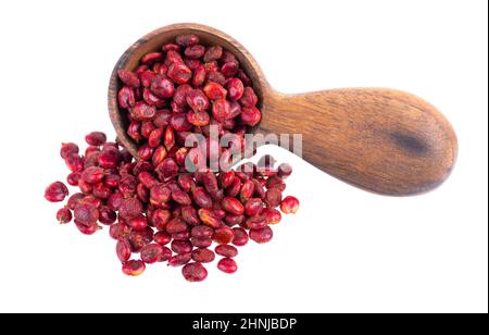 Graines de Sumac dans une cuillère en bois, isolées sur fond blanc. Baie de Rhus sèche Banque D'Images